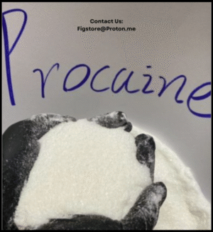 Procaine hydrochloride CAS 51-05-8